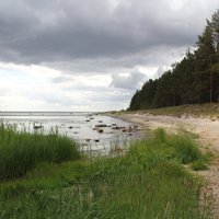 Latvijas pludmales kļuvušas netīrākas, secina eksperti