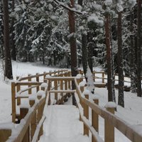 Idejas ziemīgai atpūtai tikai 30 kilometrus no Rīgas - dabas parkā 'Ogres Zilie kalni'