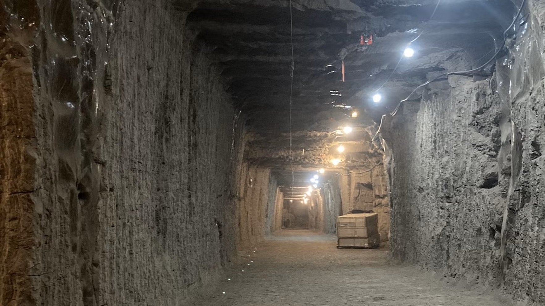 Armijas tunelī Aļaskā atrod senus mikrobus; tie laboratorijā "atmostas"