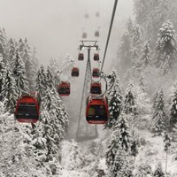 Lavīnā Austrijas Alpos gājuši bojā divi slēpotāji