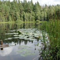 После ливней уровень воды в нескольких реках поднялся на метр