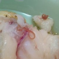 Кушать подано: колбаса с краской, баранки с гвоздями и рыба с червями (обновлено: +комментарий производителя)