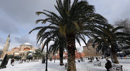 Dienas ceļojumu foto: Apsnigušas palmas un minareti - Stambula pēc sniega vētras