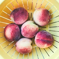 Kad nopirkti nebaudāmi persiki un nektarīni – idejas, ko iesākt ar augļiem
