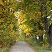 Latvijā pakāpeniski sākas meteoroloģiskais rudens