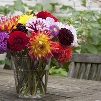 Iedvesma floristikas darbiem: idejas rudenīgiem dekoriem ar dārza puķēm