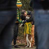 ФОТО: Собака погибшего футболиста Салы продолжает ждать хозяина