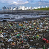 Cik daudz plastmasas atkritumu būs pēc 20 gadiem? Pārāk daudz