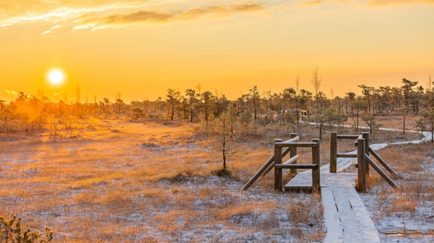 Rūpēs par purvu veselību uzsāk hidroloģisko monitoringu