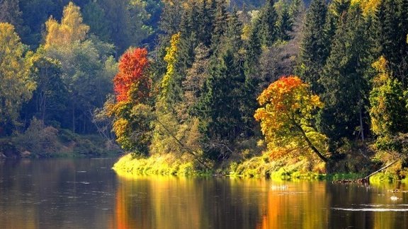 Lielais Rudens fotokonkurss ir klāt