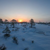 Apburošas fotogrāfijas ar ziemas rīta saullēktu Ķemeru tīrelī