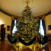 ВИДЕО. Белый дом "переоделся" к Рождеству
