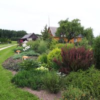 Krāšņi dārzi un interesanti dekori: sakoptākās sētas Baltinavas novadā
