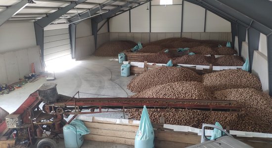 Kartupeļu audzētājs 'Piekalnes' attīstībā iegulda 400 tūkstošus eiro