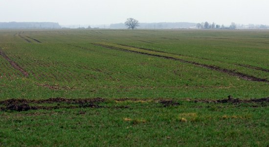 LOSP kopumā apmierina lēmums sezonas laukstrādnieku nodokļa režīmu pagarināt līdz 90 dienām