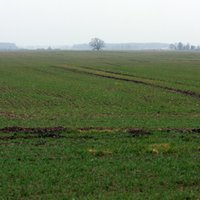 Desmit gadu laikā aramzemes cena Baltijā augusi trīskārt; Latvijā – visdārgākā
