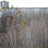 ВИДЕО: Чернобыльская зона спустя 31 год после трагедии