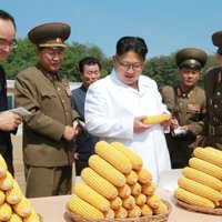 Avoti: Ziemeļkoreja atkārtoti izmēģinājusi raķešu dzinēju