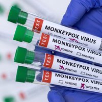 EZA iesaka apstiprināt vakcīnas 'Imvanex' lietošanu aizsardzībai pret pērtiķu bakām