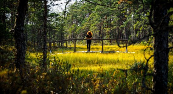Top 10: vietas, kur šovasar izbaudīt Latvijas dabas burvību un spēku