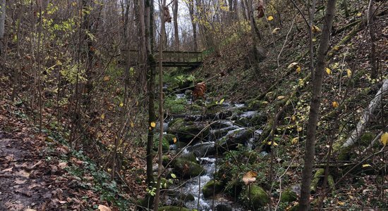 Foto: Ašķeres dabas taka ar šalkojošo koku kāpnēm un krāču tiltu