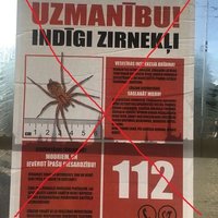 Viltus ziņa par indīgo zirnekli: Persona 'Some 1' uzņemas atbildību par plakātiem
