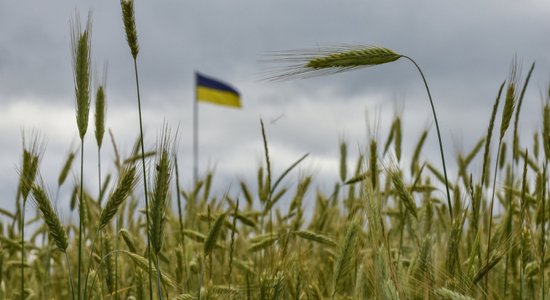 Krievija, bloķējot Ukrainas graudus, rīko 'bada spēles', nosoda Mišels