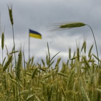 Zelenskis ar Mišelu apspriež Ukrainas labības eksportu ES