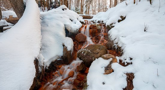 Foto: Krāšņie Dāvida avoti, kas vareni skaisti arī ziemā