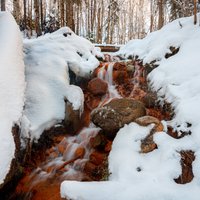 Foto: Krāšņie Dāvida avoti, kas vareni skaisti arī ziemā
