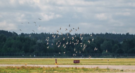 Zeme pie lidostas nav privatizēta likumīgi, secināts pārbaudē