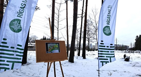 Предприятие Rīgas Meži обустроит и проредит Зиепниеккалнский лес