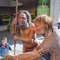 Названы сроки скрещивания человека разумного с неандертальцами