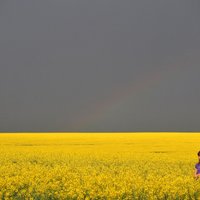 Ukrainas piņķerīgā, bet svarīgā cīņa ar veco sistēmu: kas paveikts gada laikā