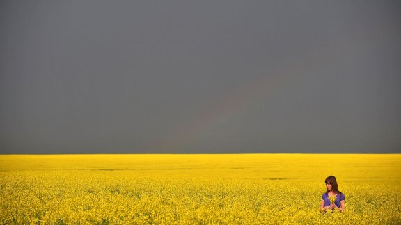 rapši, Ukraina