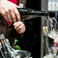 12 vīndari un 90 dzērieni: notiks tradicionālā Latvijas augļu un ogu vīnu skate