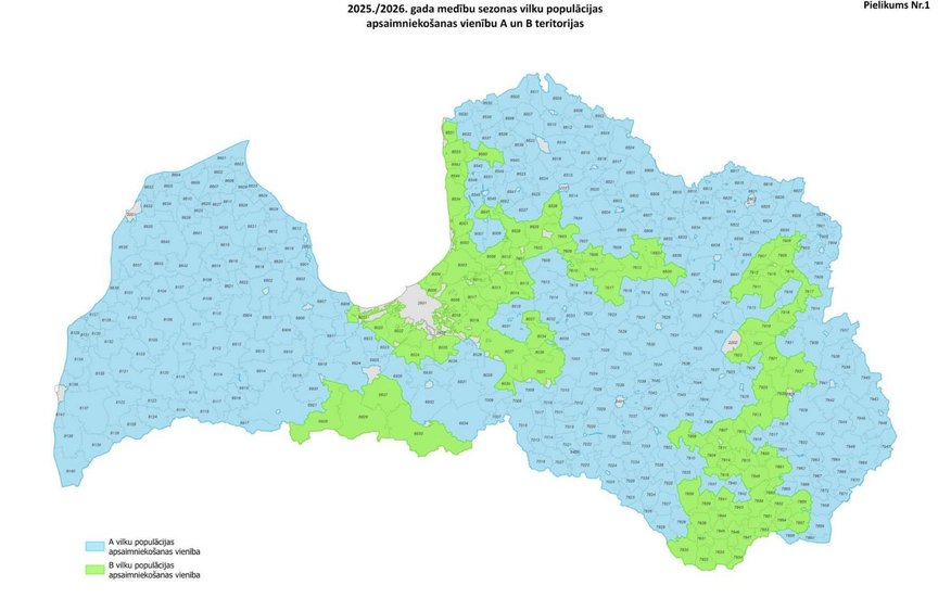 Medību sezona šogad nes limitu izmaiņas 