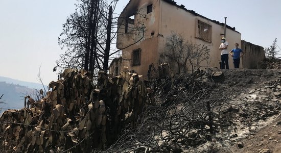 Alžīrija seno naidnieku Maroku apsūdz letālo meža ugunsgrēku aizsākšanā