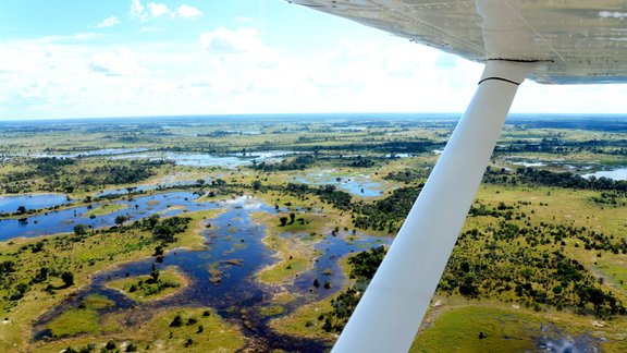 Okavango upe