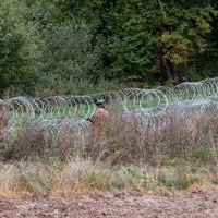 Sagatavos ieteikumus Latvijas-Baltkrievijas robežas pagaidu žoga ekspluatācijai un dzīvnieku savainošanās mazināšanai