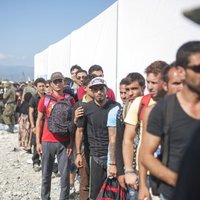 Вице-президент ЕЦБ: мигранты — это средство от самоубийства Европы