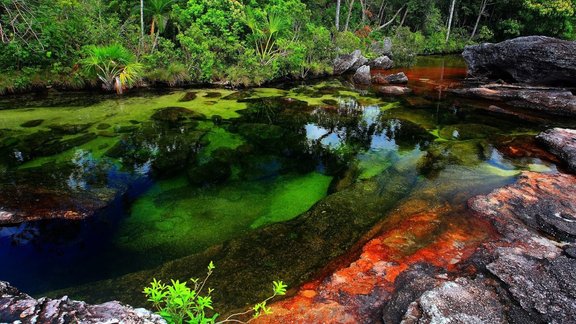 Caño Cristales - 1