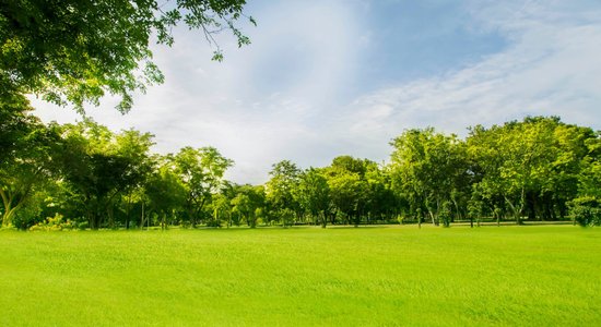 'Tērbatas dārzs', 'Kaķīškalns' – ar ko nodarbojas aprīlī reģistrētie lielākie uzņēmumi 