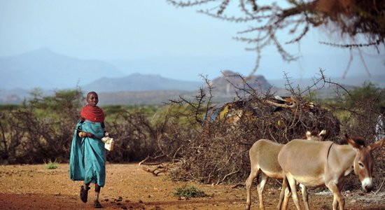 Vēdertīfa un cerebrospinālā meningīta uzliesmojuma dēļ PVO neiesaka ceļot uz Ugandu un Nigēriju