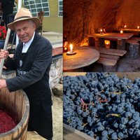 Vīna tūre pa Latviju: vietas, kur paviesoties, izzināt un degustēt