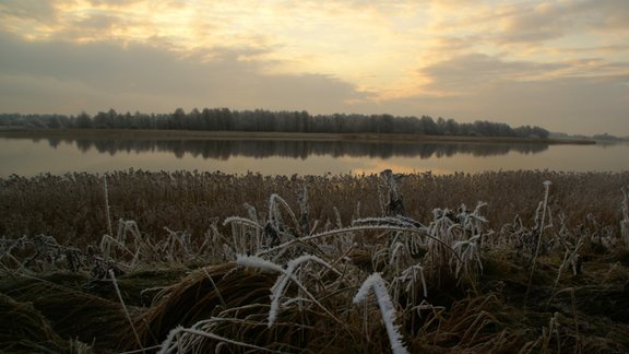 Decembra rīts Kurzemē - 5