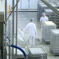'Latvijas Piens' par 137,3 tūkstošiem eiro iegādāsies ražošanas iekārtas