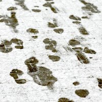 Vīrietis Jūrmalā seko pēdu nospiedumiem sniegā un notver zagli
