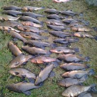 На озере Бабитес повторно пойманы злостные браконьеры