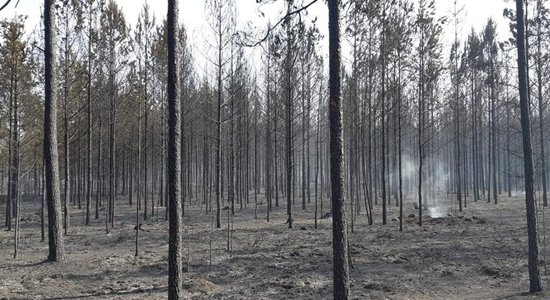 Ceturtdien dzēsti septiņi meža ugunsgrēki